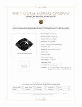 Jewelry Scan Report