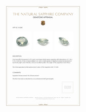 Jewelry Appraisal