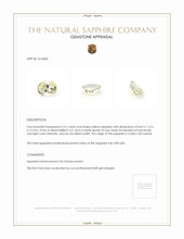 Jewelry Appraisal