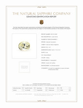 Jewelry Scan Report