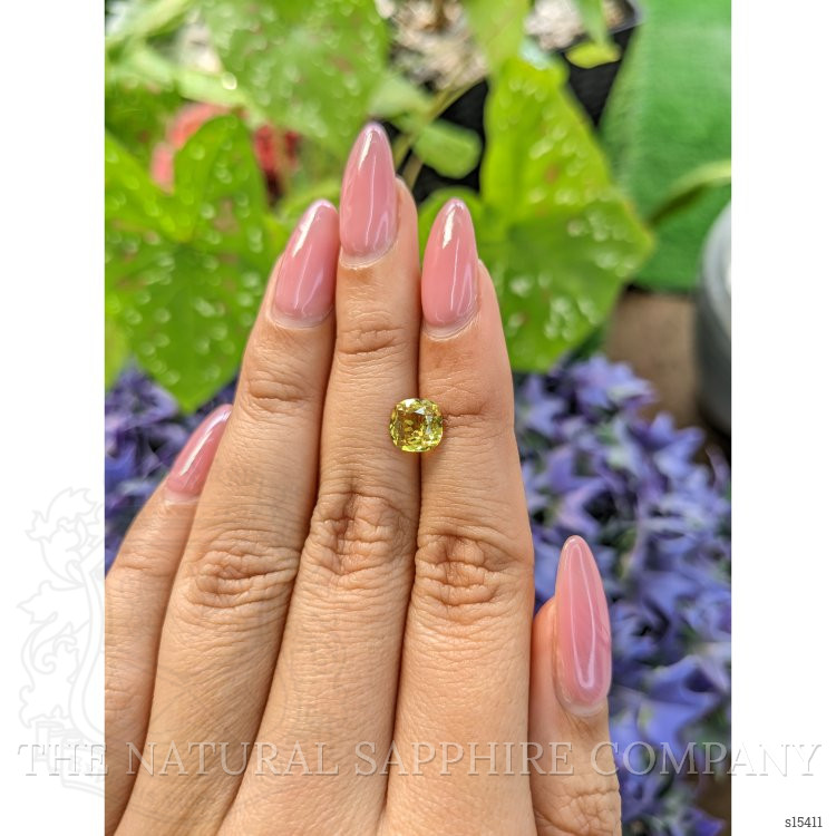 1.61 Ct. Greenish Yellow Sapphire from Ceylon (Sri Lanka)