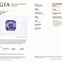 Jewelry Scan Report