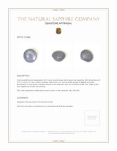 4.97 Ct. Bluish Grey Star Sapphire from Ceylon (Sri Lanka) Appraisal