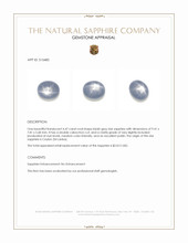 4.47 Ct. Bluish Grey Star Sapphire from Ceylon (Sri Lanka) Appraisal