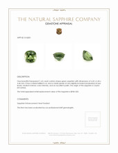 Jewelry Appraisal