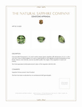 Jewelry Appraisal