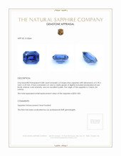 0.88 Ct. Blue Sapphire from Ceylon (Sri Lanka) Appraisal