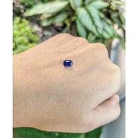 0.81 Ct. Blue Sapphire from Ceylon (Sri Lanka) Life Style