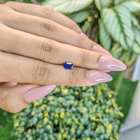 0.81 Ct. Blue Sapphire from Ceylon (Sri Lanka) Life Style