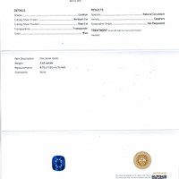2.62 Ct. Blue Sapphire from Ceylon (Sri Lanka) Scan Report