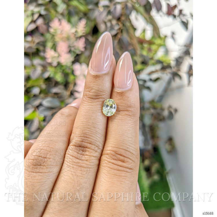 1.70 Ct. Yellow Sapphire from Ceylon (Sri Lanka)