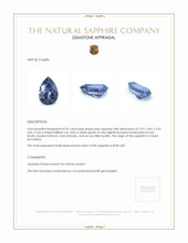 0.92 Ct. Blue Sapphire from Ceylon (Sri Lanka) Appraisal