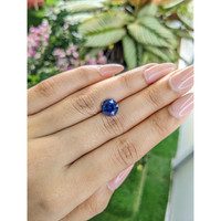 4.22 Ct. Blue Sapphire from Ceylon (Sri Lanka) Life Style