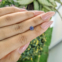 0.82 Ct. Blue Sapphire from Ceylon (Sri Lanka) Life Style