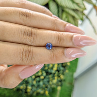 0.82 Ct. Blue Sapphire from Ceylon (Sri Lanka) Life Style