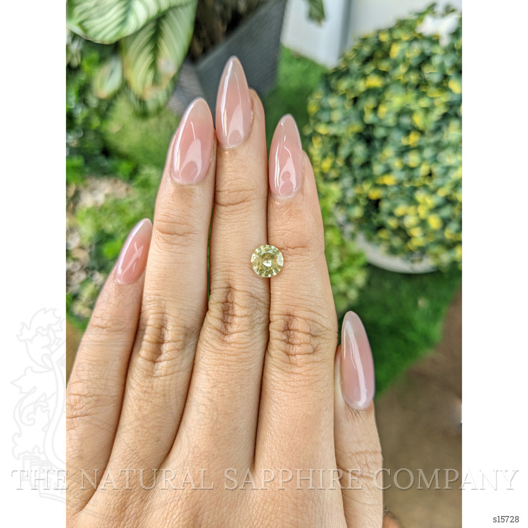 1.42 Ct. Yellow Sapphire from Ceylon (Sri Lanka)