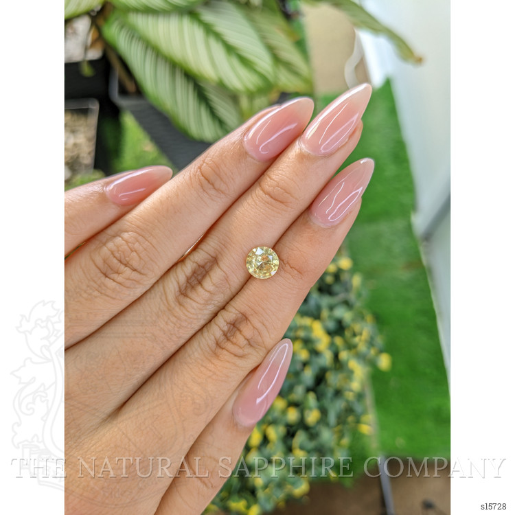 1.42 Ct. Yellow Sapphire from Ceylon (Sri Lanka)