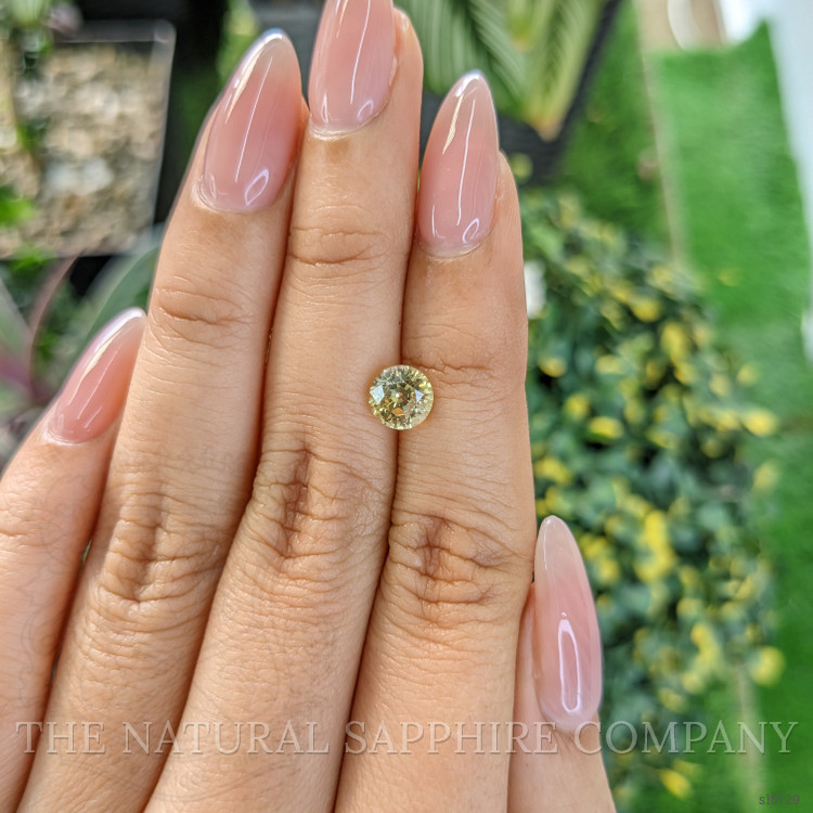 1.68 Ct. Yellow Sapphire from Ceylon (Sri Lanka)