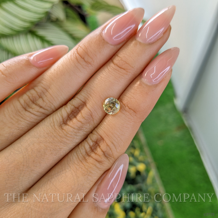 1.68 Ct. Yellow Sapphire from Ceylon (Sri Lanka)