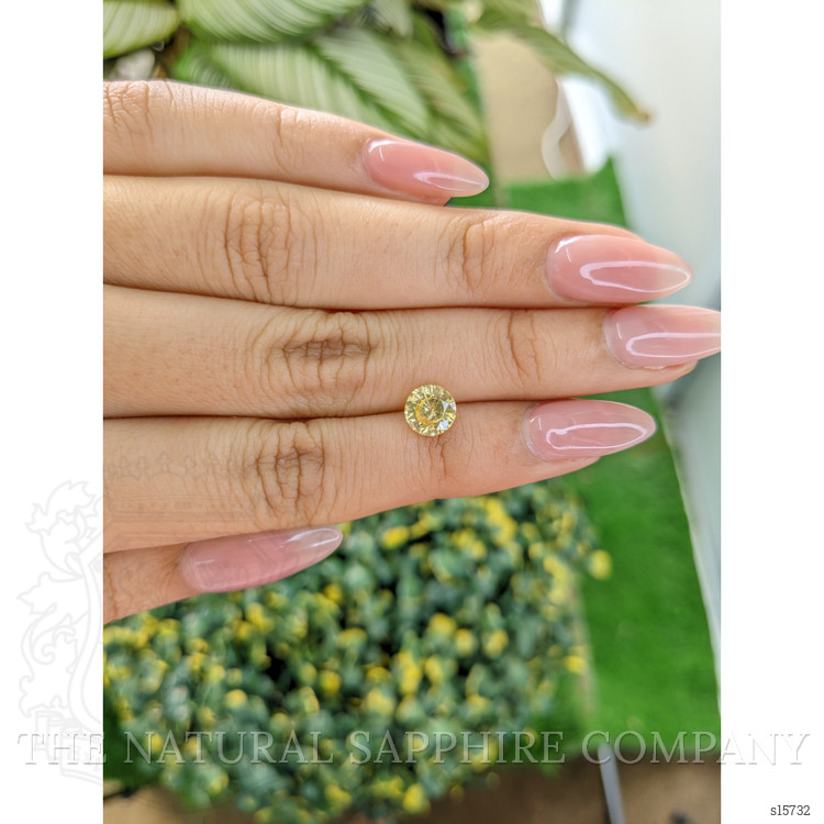 1.39 Ct. Yellow Sapphire from Ceylon (Sri Lanka)