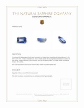Jewelry Appraisal