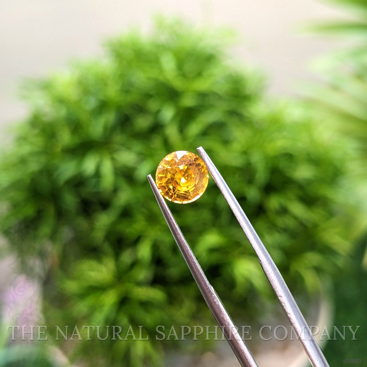 1.57 Ct. Orangish Yellow Sapphire from Ceylon (Sri Lanka)