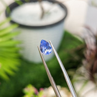 1.10 Ct. Blue Sapphire from Ceylon (Sri Lanka) Life Style