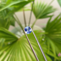 1.60 Ct. Blue Sapphire from Ceylon (Sri Lanka) Life Style