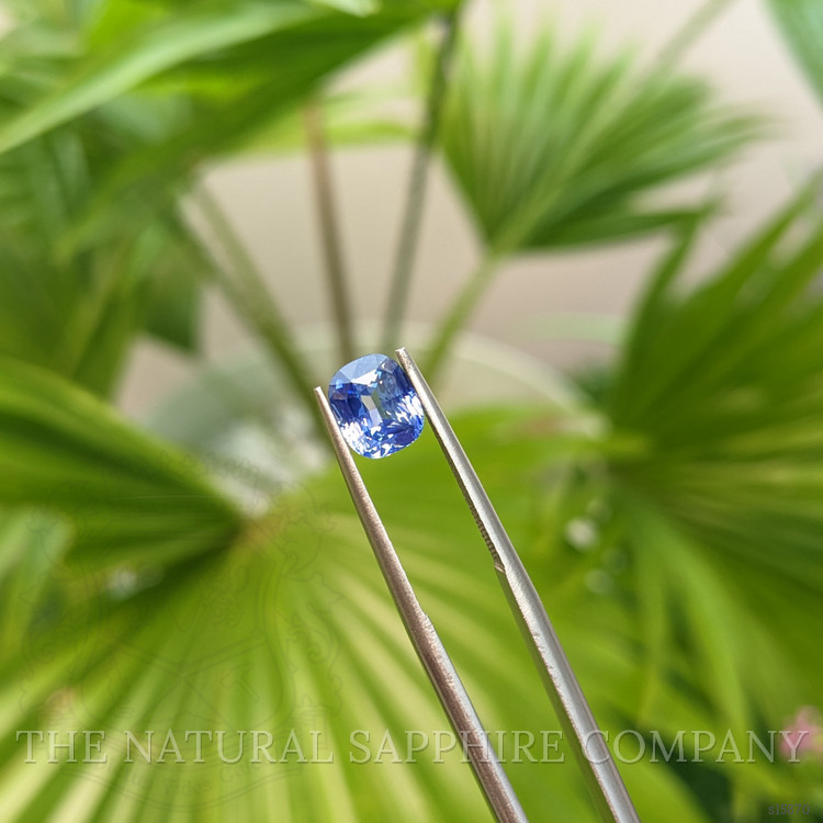 1.60 Ct. Blue Sapphire from Ceylon (Sri Lanka)