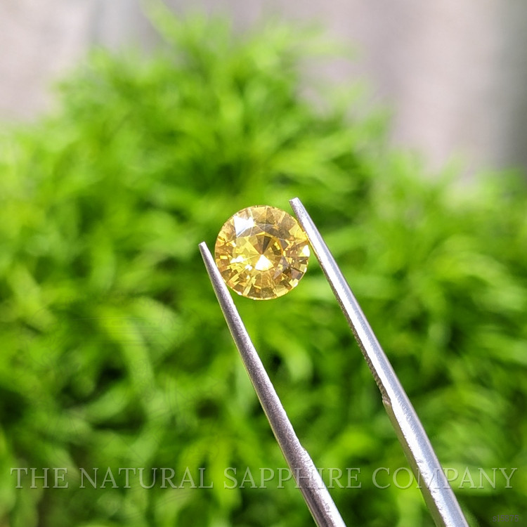 1.57 Ct. Yellow Sapphire from Ceylon (Sri Lanka)