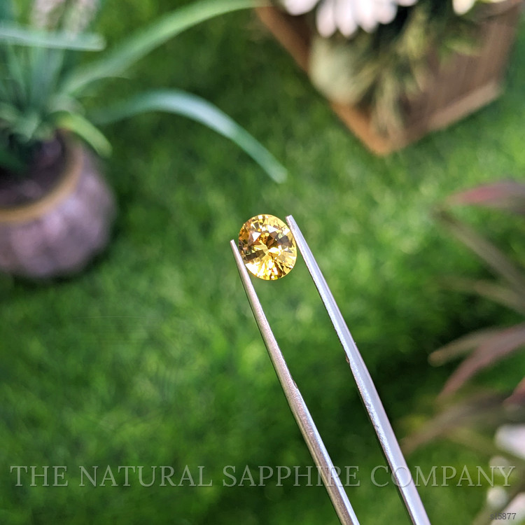 1.55 Ct. Yellow Sapphire from Ceylon (Sri Lanka)