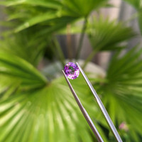 1.11 Ct. Color Change Sapphire from Ceylon (Sri Lanka) Life Style