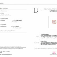 9.93 Ct. Padparadscha Sapphire from Ceylon (Sri Lanka) Scan Report