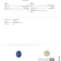 Jewelry Scan Report