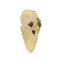 3.71 Ct. Yellow Sapphire Crystal from Ceylon (Sri Lanka) Video