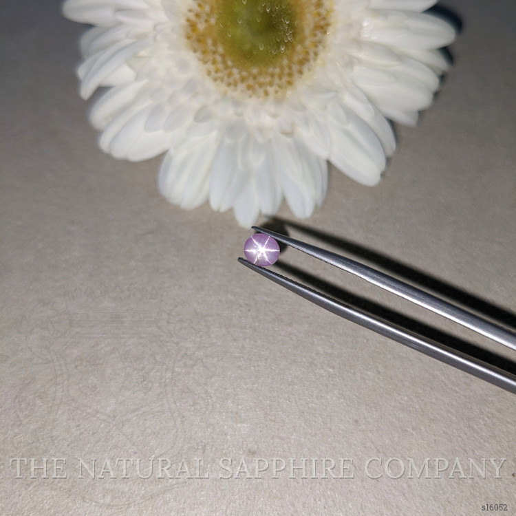 0.74 Ct. Purple Star Sapphire from Ceylon (Sri Lanka)