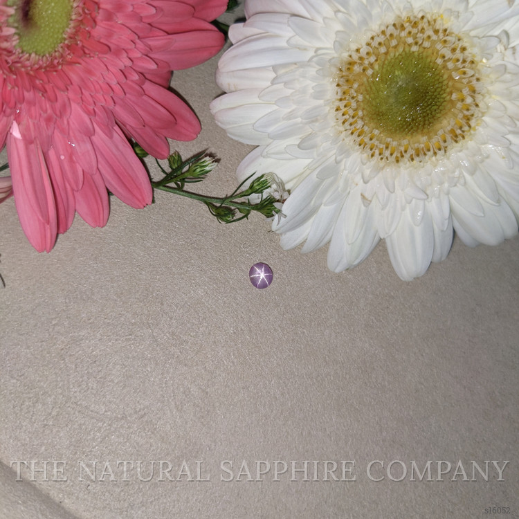 0.74 Ct. Purple Star Sapphire from Ceylon (Sri Lanka)