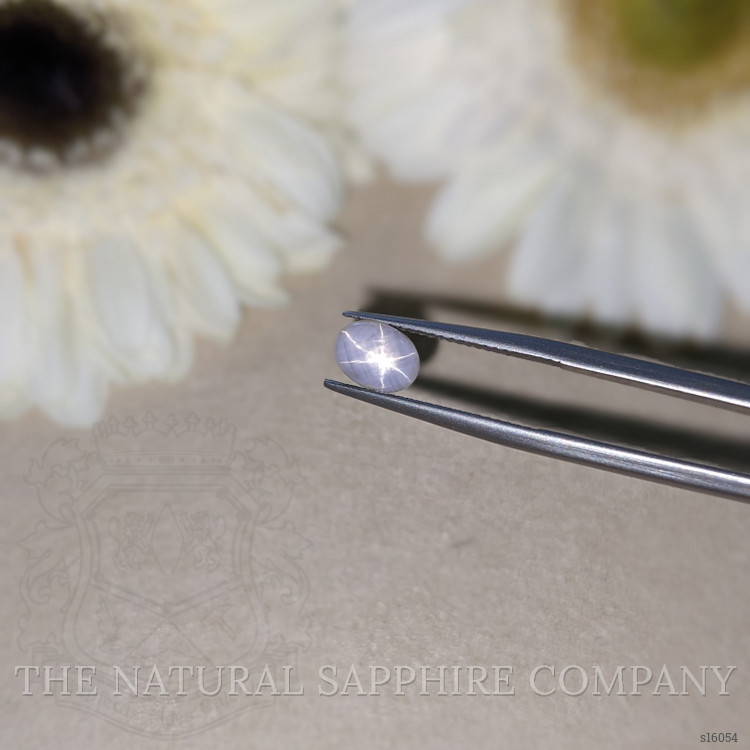 1.70 Ct. White Star Sapphire from Ceylon (Sri Lanka)