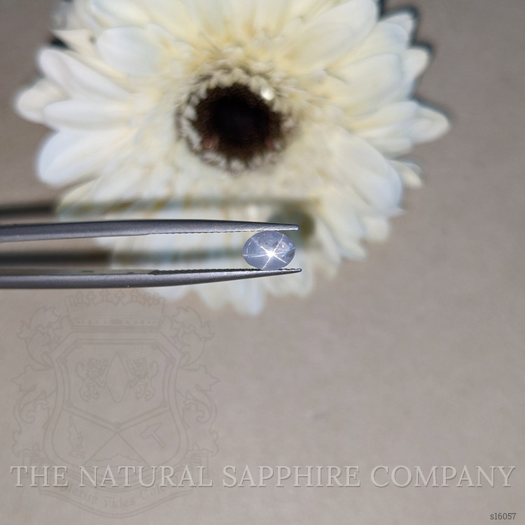 1.43 Ct. Blue Star Sapphire from Ceylon (Sri Lanka)
