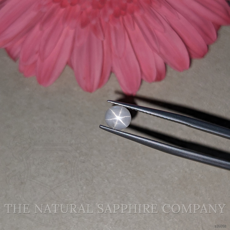 1.03 Ct. White Star Sapphire from Ceylon (Sri Lanka)