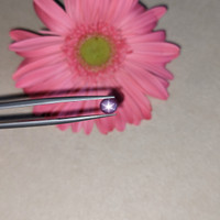 1.01 Ct. Purple Star Sapphire from Ceylon (Sri Lanka) Life Style