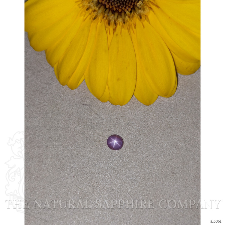 1.01 Ct. Purple Star Sapphire from Ceylon (Sri Lanka)