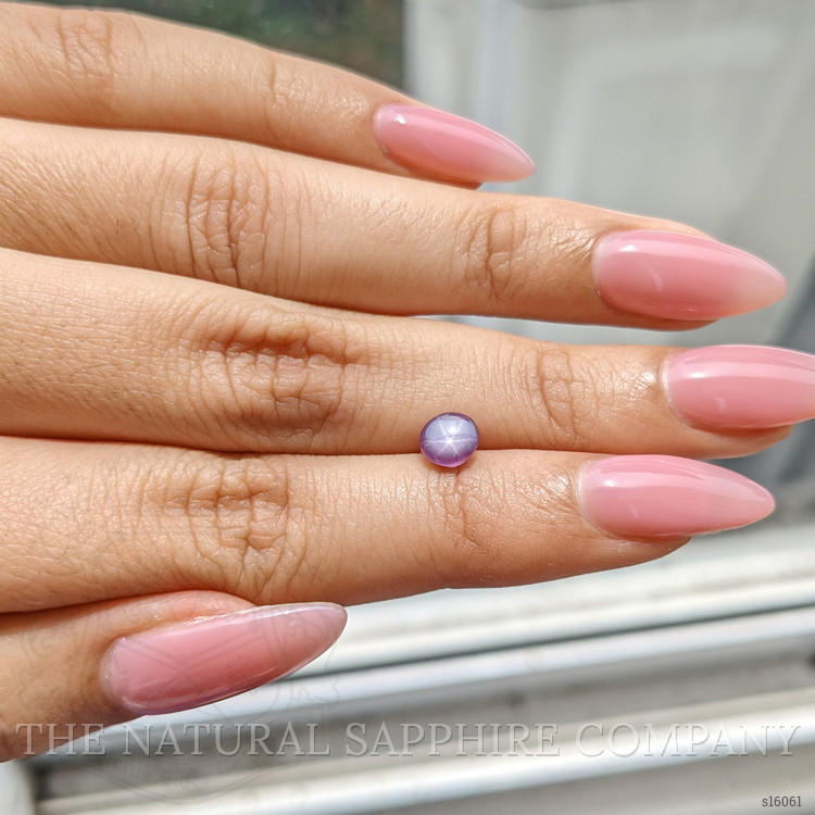 1.01 Ct. Purple Star Sapphire from Ceylon (Sri Lanka)