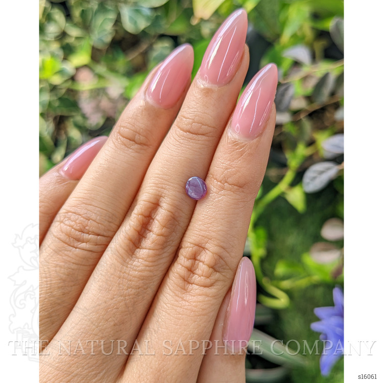 1.01 Ct. Purple Star Sapphire from Ceylon (Sri Lanka)