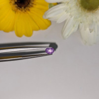 0.87 Ct. Purple Star Sapphire from Ceylon (Sri Lanka) Life Style