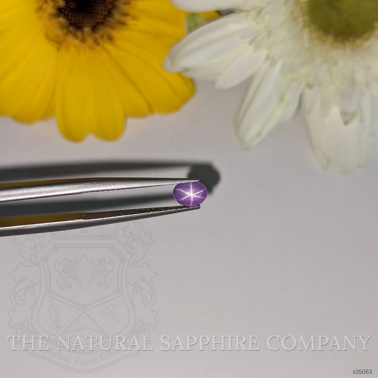 0.87 Ct. Purple Star Sapphire from Ceylon (Sri Lanka)