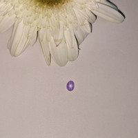 0.87 Ct. Purple Star Sapphire from Ceylon (Sri Lanka) Life Style