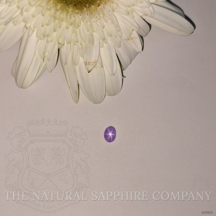 0.87 Ct. Purple Star Sapphire from Ceylon (Sri Lanka)