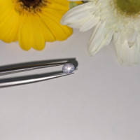 1.17 Ct. Grey Star Sapphire from Ceylon (Sri Lanka) Life Style