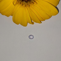 1.17 Ct. Grey Star Sapphire from Ceylon (Sri Lanka) Life Style